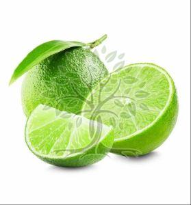 Lime Essential Oil
