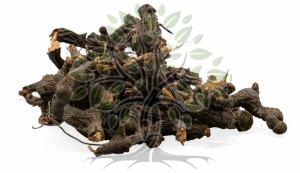 Nagarmotha Essential Oil