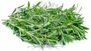 Savory Winter Essential Oil