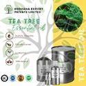 Tea Tree Essential Oil