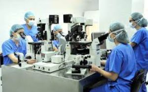 Modular Ivf Laboratory Setup