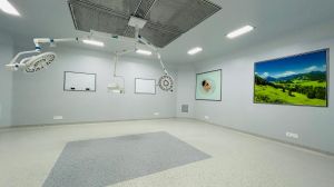 PVC Modular Operation Theatre