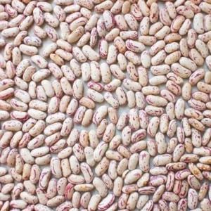 Light Speckled Kidney Beans