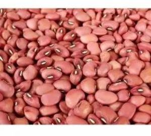 Red Cow Pea