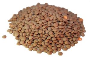 Whole Red Lentils