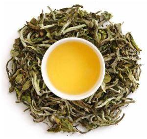 Premium White Tea