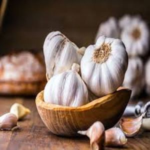 Natural Fresh White Garlic
