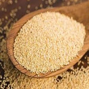 Brown Poppy Seeds
