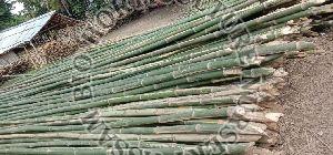 Bamboo Pole