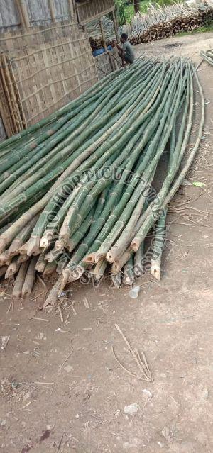 Bamboo Pole