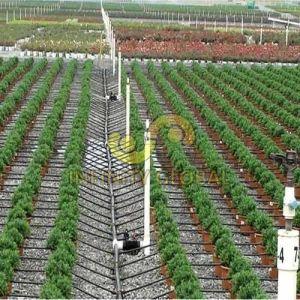 Drip Irrigation System