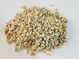 whole yellow corn germ