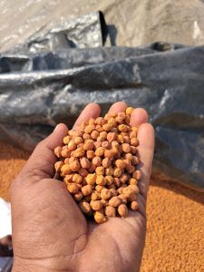 Black Desi Chana