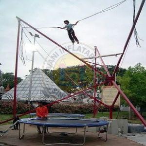 14 Feet Amusement Bungee Jumping