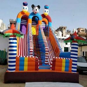 14x22 Feet Amusement Park Inflatable Slide Bouncy
