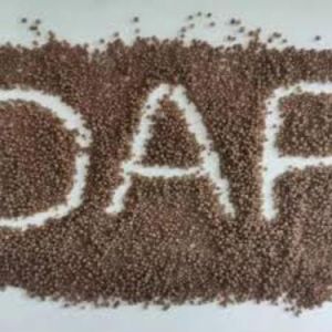 Technical Grade DAP