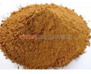 Aak Flower Extract Powder