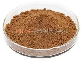 Alfalfa Extract Powder