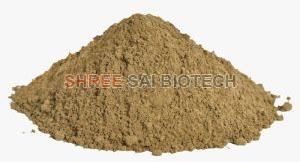 Amaltas Dry Extract Powder