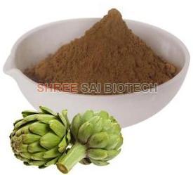Artichoke Extract Powder