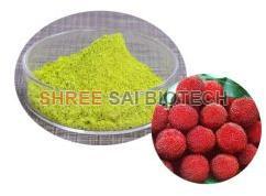 Bayberry Bark Extract Powder