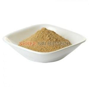 Cat's Claw Extract Powder