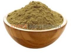 Coleus Forskohlii Root Extract Powder
