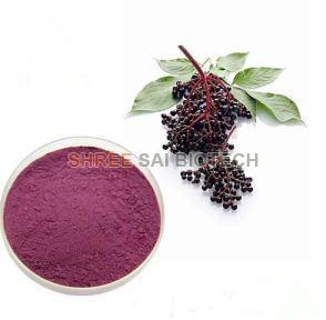 Elderberry Extract Powder