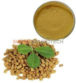 Fenugreek Methi Extract Powder