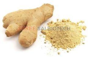 Ginger Root Extract Powder