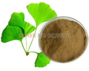 Ginkgo Biloba Extract Powder