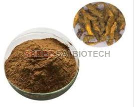Golden Seal Root Extract Powder