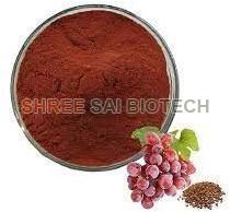 Grape Seed Extract Powder