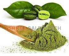 Green Coffee Bean Extract Powder
