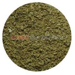 Greenlip Mussel Extract Powder