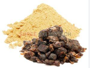 Guggul Commiphora Mukul Extract Powder