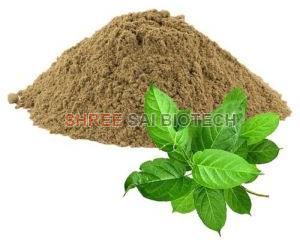Gymnema Extract Powder