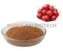 Hawthorn Berry Extract Powder