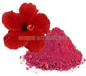 Hibiscus Rosa Sinensis Flower Extract Powder