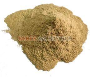 Kapoor Kachri Extract Powder