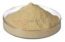 Keratin Protein Powder