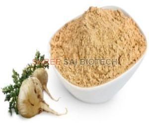 Maca Root Extract Powder