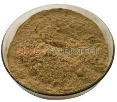 Natural Yucca Root Extract Powder