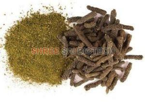 piper longum extract powder