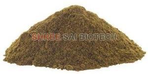 piper longum extract powder