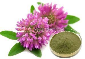 Red Clover Flower Extract Powder