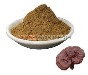 Reishi Mushroom Extract Powder