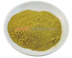 Rosemary Extract Powder