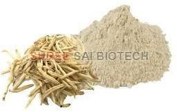 Safed Musli Extract Powder