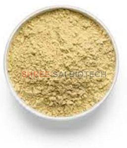 Salam Panja Extract Powder
